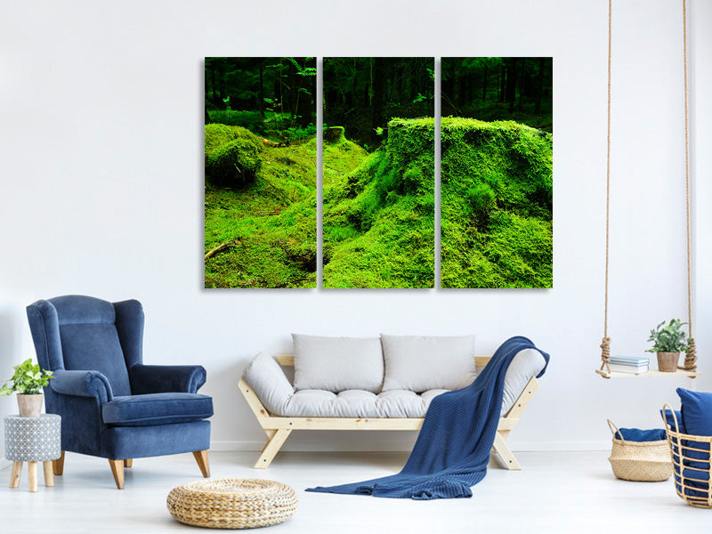 3-piece-canvas-print-moss-in-the-forest