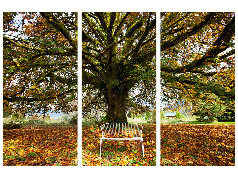 3-piece-canvas-print-my-favorite-tree