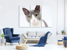 3-piece-canvas-print-noble-cat