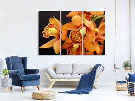 3-piece-canvas-print-orchids-with-orange-flowers
