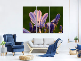 3-piece-canvas-print-ornamental-lilies-with-morning-dew