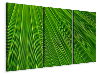 3-piece-canvas-print-palm-stripe-i