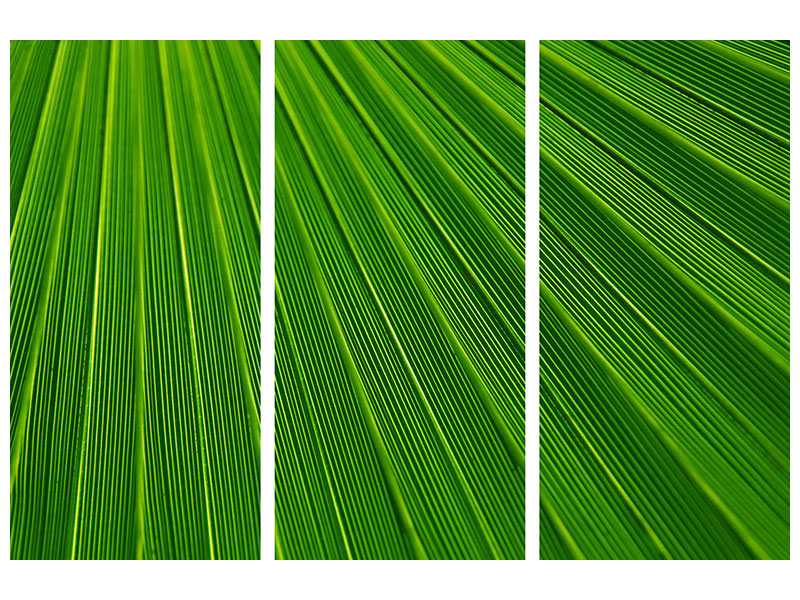 3-piece-canvas-print-palm-stripe-i