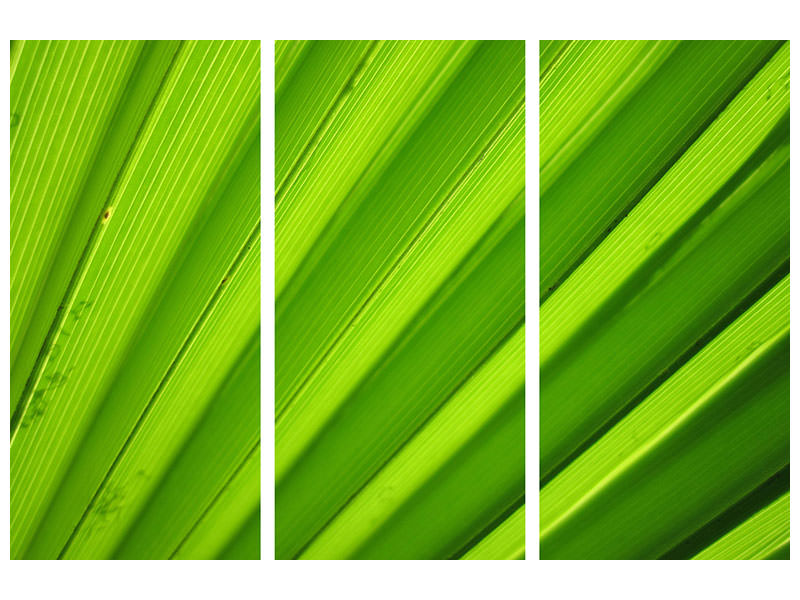 3-piece-canvas-print-palm-stripes-ii
