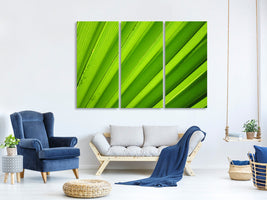 3-piece-canvas-print-palm-stripes-ii