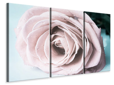 3-piece-canvas-print-pastel-rose