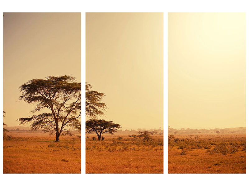 3-piece-canvas-print-pastures-in-kenya
