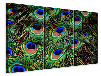 3-piece-canvas-print-peacock-feathers-xxl