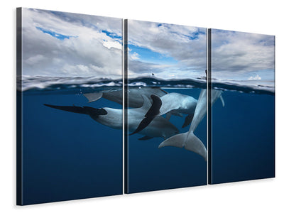 3-piece-canvas-print-pod-of-dolphin-at-the-surface