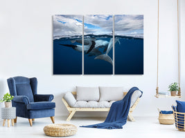 3-piece-canvas-print-pod-of-dolphin-at-the-surface