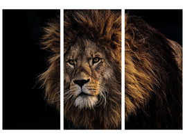 3-piece-canvas-print-portrait-of-a-lion