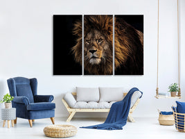 3-piece-canvas-print-portrait-of-a-lion