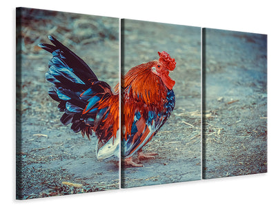 3-piece-canvas-print-proud-cock