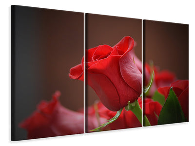 3-piece-canvas-print-red-rose-in-xl