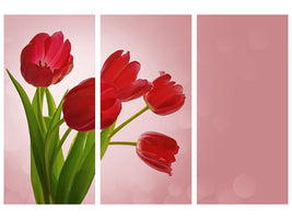 3-piece-canvas-print-red-tulips-bouquet