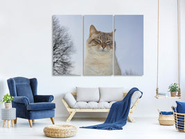 3-piece-canvas-print-relaxed-cat-in-the-nature