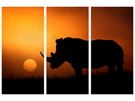 3-piece-canvas-print-rhino-sunrise