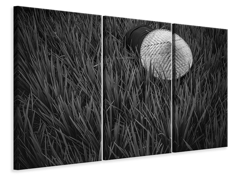 3-piece-canvas-print-rice-fields-in-bw