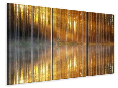 3-piece-canvas-print-romantic-mood-in-the-forest