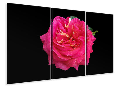 3-piece-canvas-print-rose-in-red-xxl