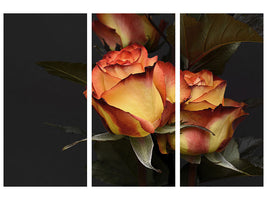 3-piece-canvas-print-roses-of-the-romance