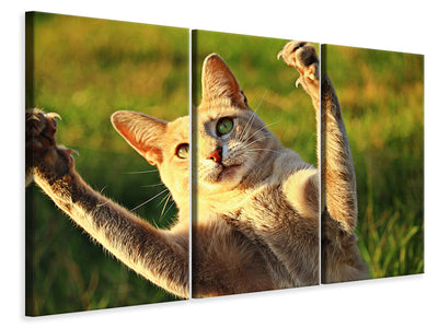 3-piece-canvas-print-show-the-claws