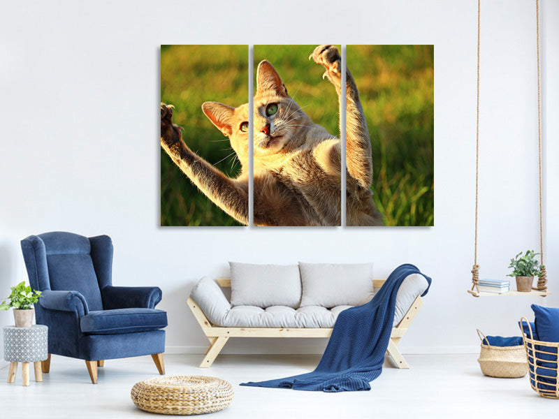 3-piece-canvas-print-show-the-claws