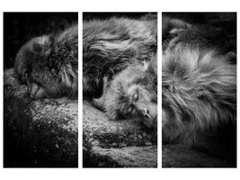 3-piece-canvas-print-sleeping