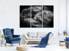 3-piece-canvas-print-sleeping