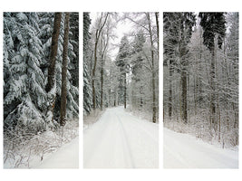 3-piece-canvas-print-snow-in-the-forest