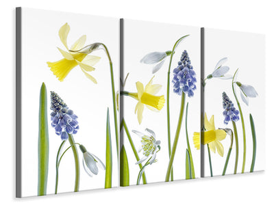 3-piece-canvas-print-spring