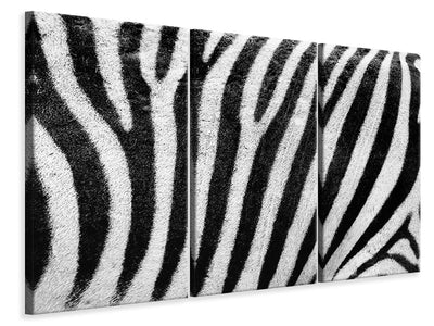 3-piece-canvas-print-strip-of-the-zebra