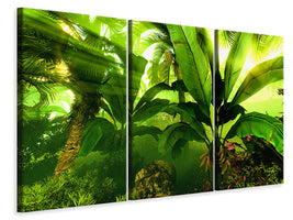 3-piece-canvas-print-sunrise-in-the-rainforest