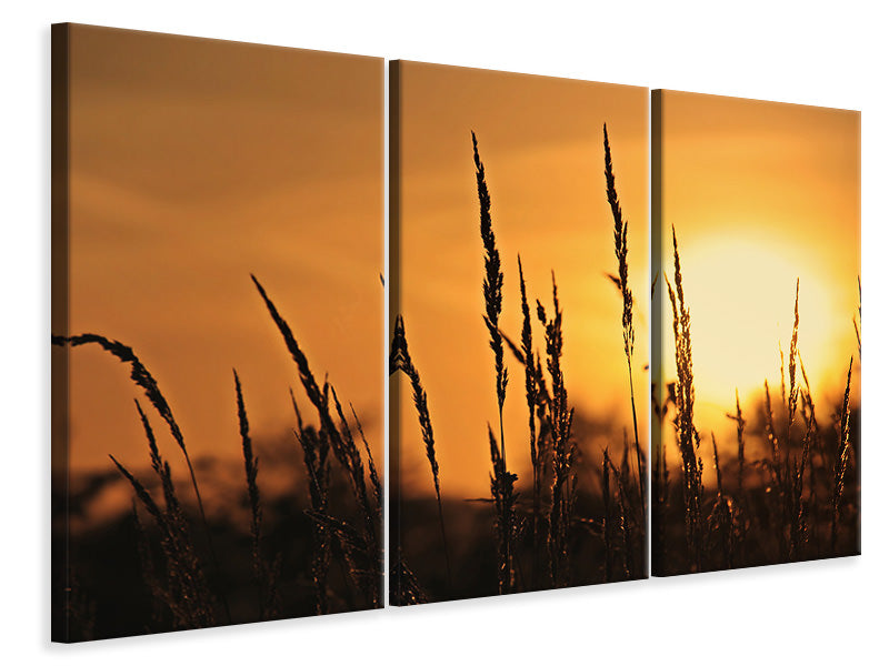 3-piece-canvas-print-sunrise-on-the-field