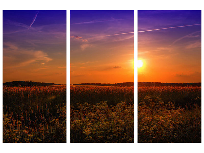 3-piece-canvas-print-sunset-at-the-flower-field
