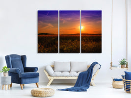 3-piece-canvas-print-sunset-at-the-flower-field