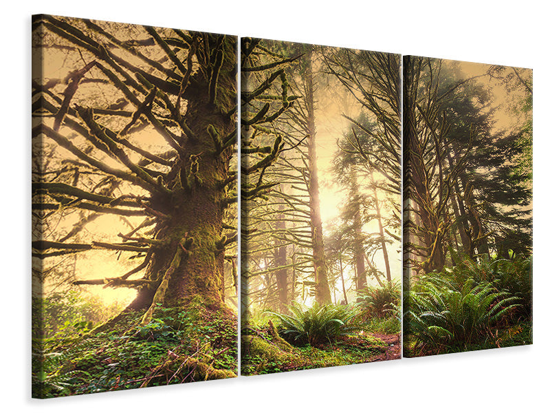 3-piece-canvas-print-sunset-in-jungle