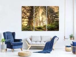 3-piece-canvas-print-sunset-in-jungle