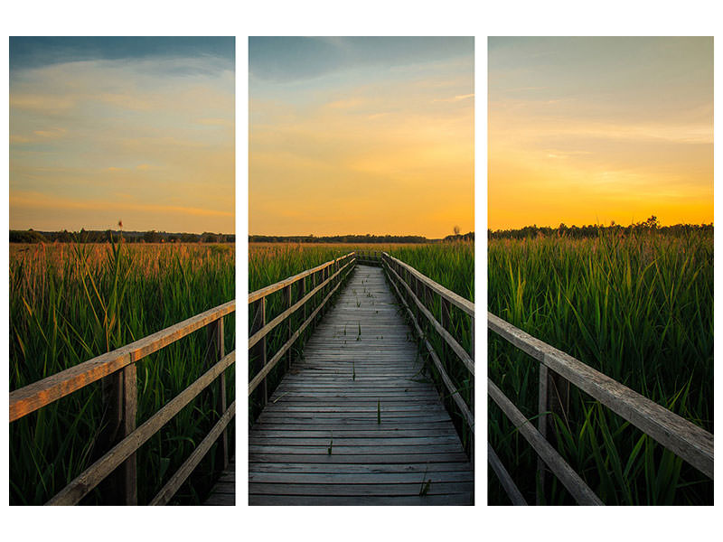3-piece-canvas-print-sunset-in-the-fields