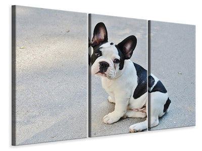3-piece-canvas-print-sweet-french-bulldog