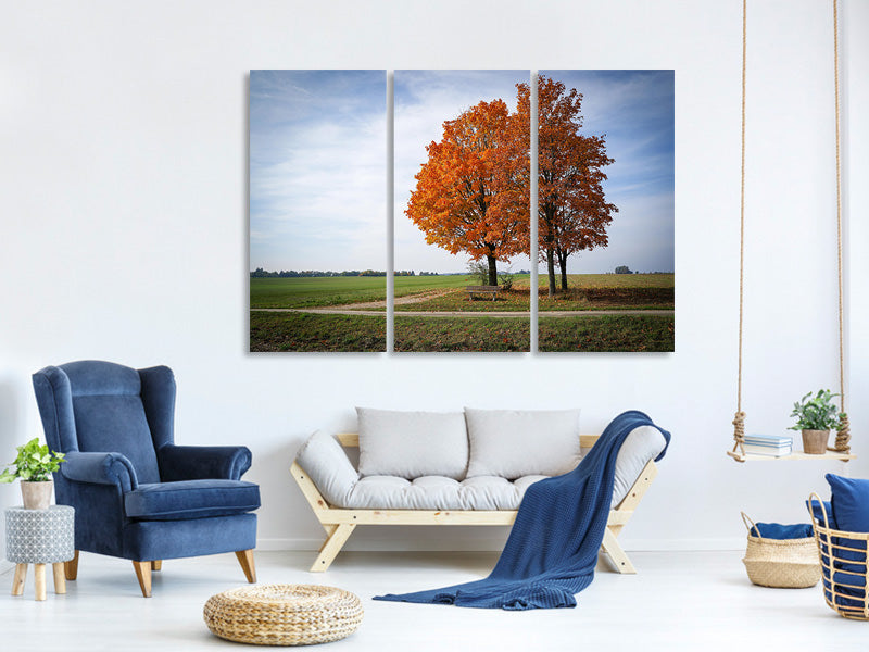 3-piece-canvas-print-the-3-trees