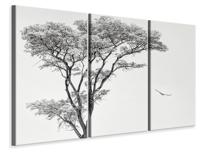 3-piece-canvas-print-the-african-eagle