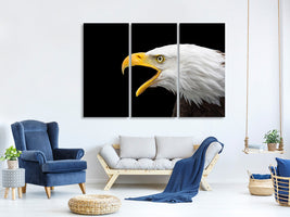 3-piece-canvas-print-the-bald-eagle