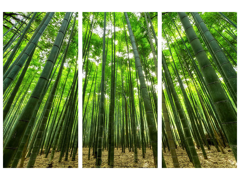 3-piece-canvas-print-the-bamboo-forest