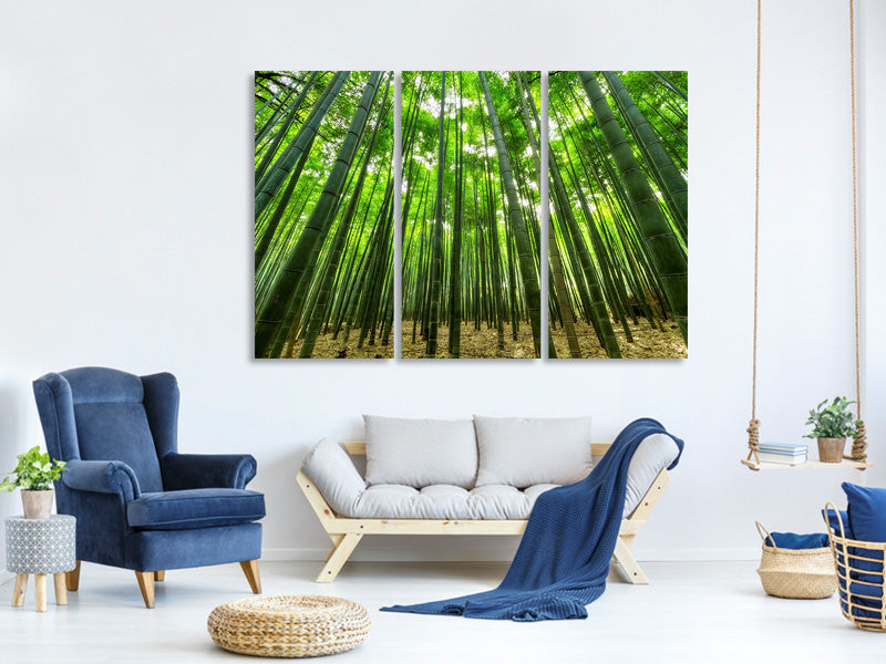 3-piece-canvas-print-the-bamboo-forest