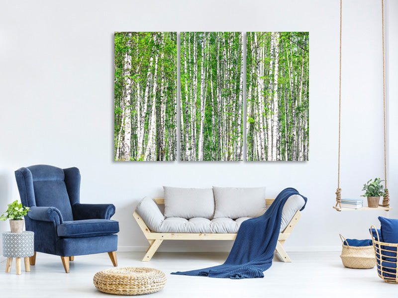 3-piece-canvas-print-the-birch-forest