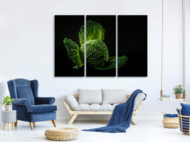 3-piece-canvas-print-the-cabbage