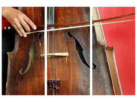 3-piece-canvas-print-the-cello
