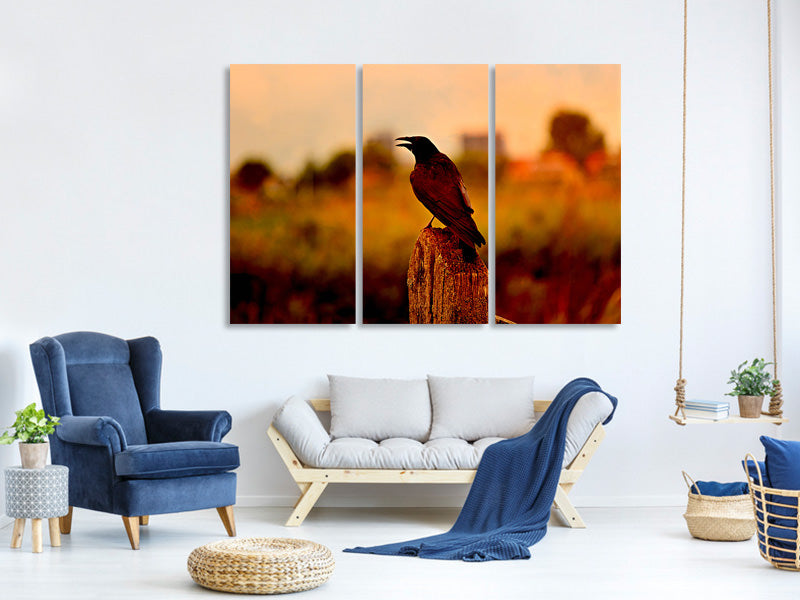 3-piece-canvas-print-the-crow-in-the-evening-light