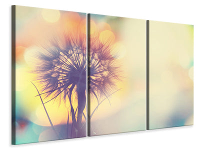 3-piece-canvas-print-the-dandelion-in-the-light